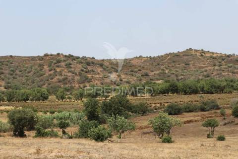 Terreno misto com vista do guadiana, 126ha, com ruína de 618m2