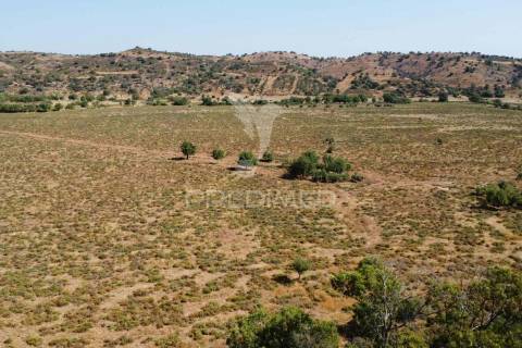 Terreno misto junto ao guadiana, 125ha, com ruína de 1005m2