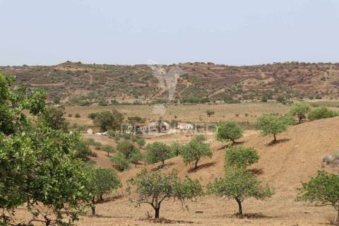 Terreno misto junto ao guadiana, 125ha, com ruína de 1005m2