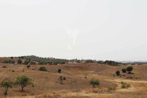 Terreno misto junto ao guadiana, 125ha, com ruína de 1005m2