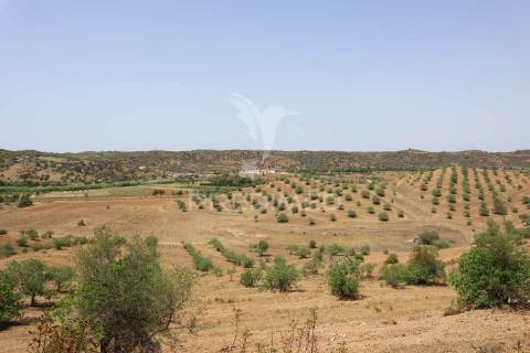 Terreno misto junto ao guadiana, 125ha, com ruína de 1005m2