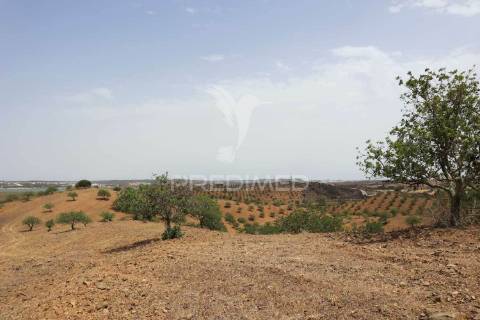 Terreno misto junto ao guadiana, 125ha, com ruína de 1005m2