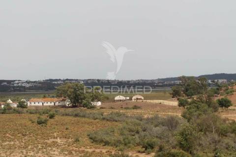 Quinta com vista do guadiana, 126ha, com ruína de 618m2