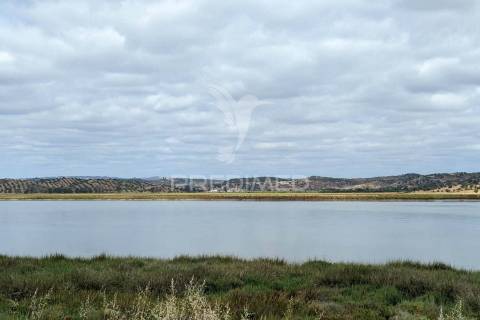 Quinta com vista do guadiana, 126ha, com ruína de 618m2