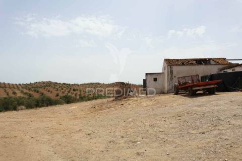 Quinta com vista do guadiana, 126ha, com ruína de 618m2