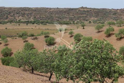 Quinta com vista do guadiana, 126ha, com ruína de 618m2