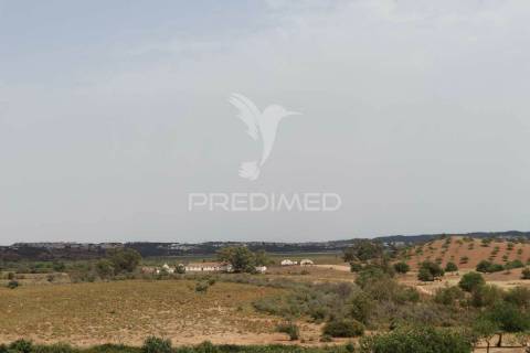 Quinta com vista do guadiana, 126ha, com ruína de 618m2
