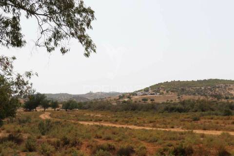 Quinta com vista do guadiana, 126ha, com ruína de 618m2