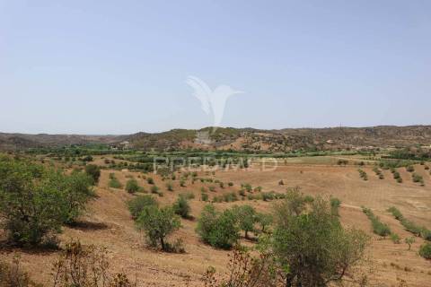 Quinta com vista do guadiana, 126ha, com ruína de 618m2