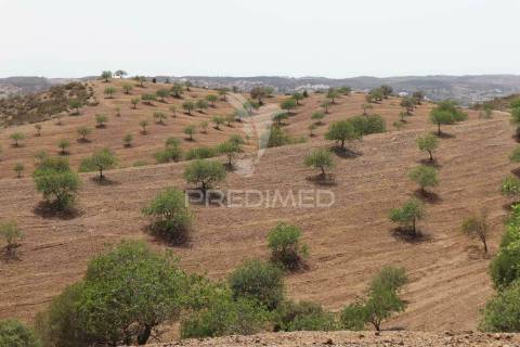 Quinta com vista do guadiana, 126ha, com ruína de 618m2