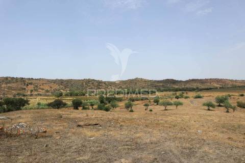 Quinta com vista do guadiana, 126ha, com ruína de 618m2