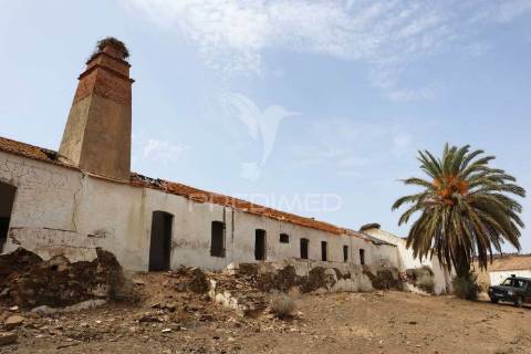 Terreno misto junto ao guadiana, 125ha, com ruína de 1005m2