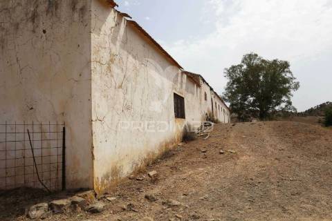 Terreno misto junto ao guadiana, 125ha, com ruína de 1005m2