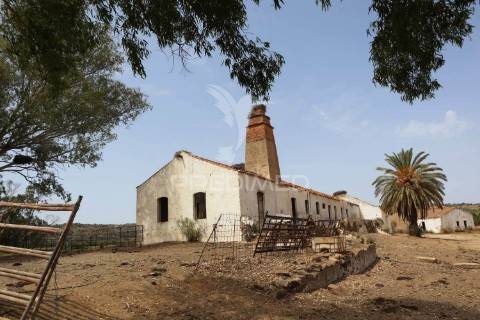 Terreno misto junto ao guadiana, 125ha, com ruína de 1005m2