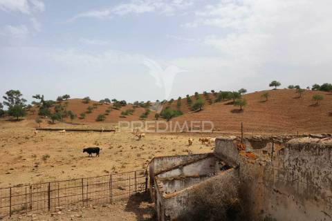 Terreno misto junto ao guadiana, 125ha, com ruína de 1005m2