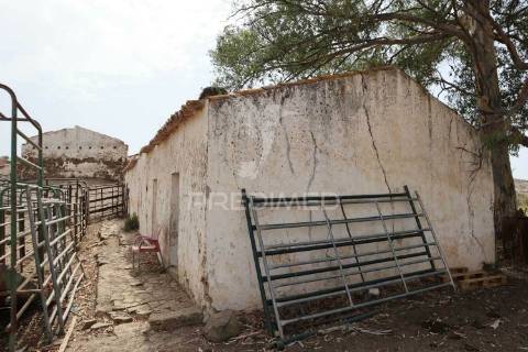 Terreno misto junto ao guadiana, 125ha, com ruína de 1005m2