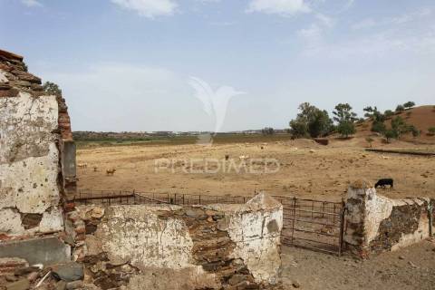 Terreno misto junto ao guadiana, 125ha, com ruína de 1005m2