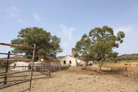 Terreno misto junto ao guadiana, 125ha, com ruína de 1005m2