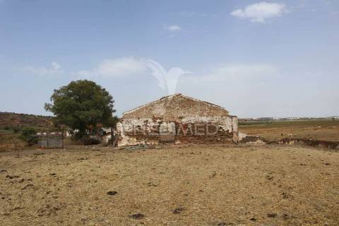 Terreno misto junto ao guadiana, 125ha, com ruína de 1005m2