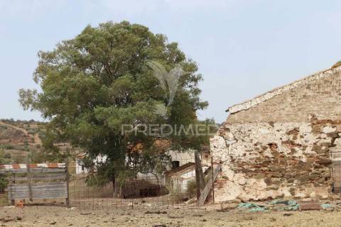 Terreno misto junto ao guadiana, 125ha, com ruína de 1005m2
