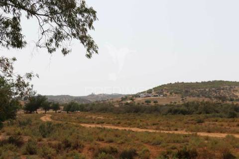 Terreno misto junto ao guadiana, 125ha, com ruína de 1005m2