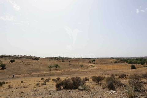 Terreno misto junto ao guadiana, 125ha, com ruína de 1005m2