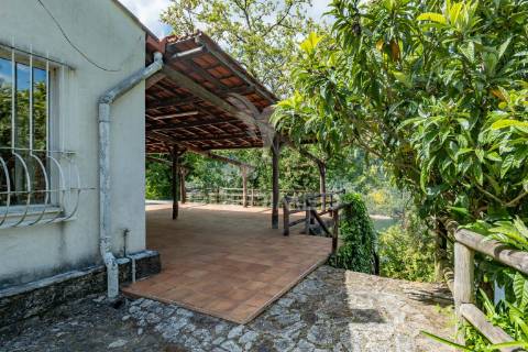 Refúgio de luxo no gerês – moradia térrea t4 com piscina e vista rio  barragem de salamonde | 4 suites | piscina | churrasqueira | vistas deslumbrantes