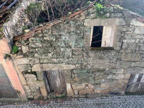 Ruina - douro vinhateiro ( alijó )