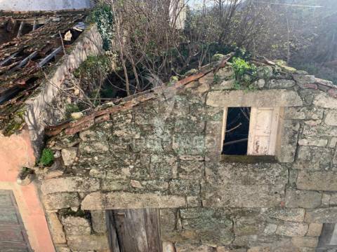 Ruina - douro vinhateiro ( alijó )