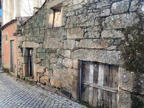 Ruina - douro vinhateiro ( alijó )