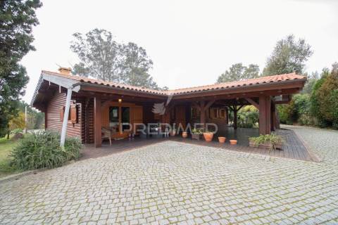 Quinta cachide