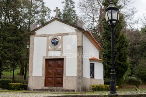 Quinta cachide