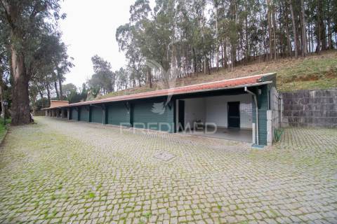 Quinta cachide