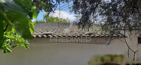 Monte t3 + garagem + arrecadação