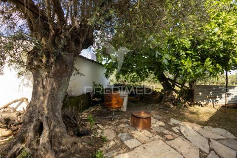 Monte t3 + garagem + arrecadação