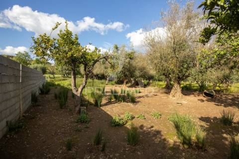 Monte t3 + garagem + arrecadação