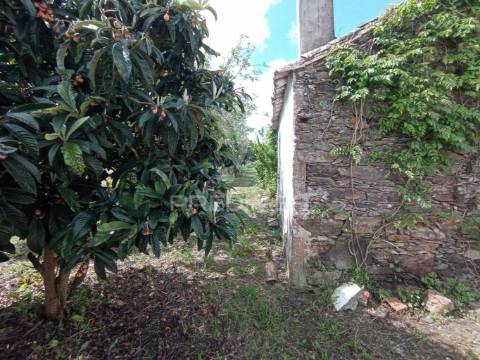 Quinta na aldeia de são luís - odemira