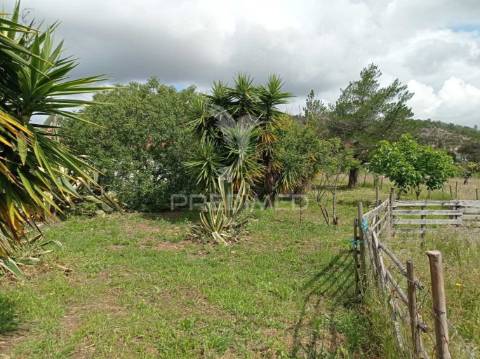 Quinta na aldeia de são luís - odemira