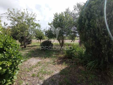 Quinta na aldeia de são luís - odemira
