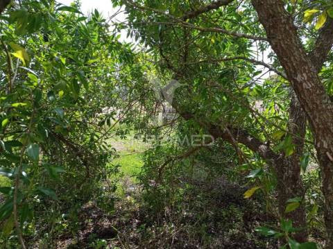 Quinta na aldeia de são luís - odemira