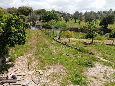 Terreno  - urra/ portalegre