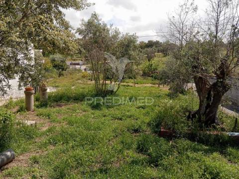 Terreno  - urra/ portalegre