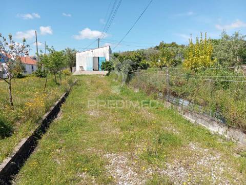 Terreno  - urra/ portalegre