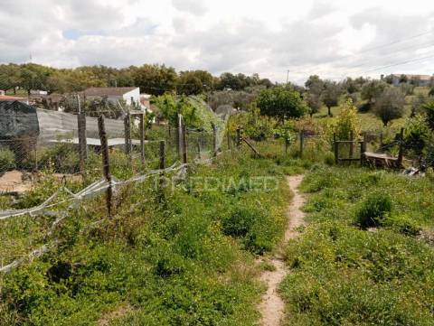 Terreno  - urra/ portalegre