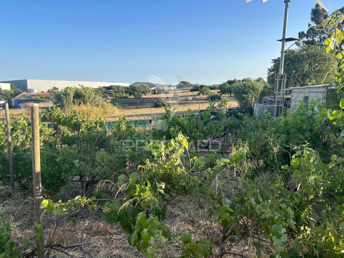 Terreno para moradia com 539m2 no carregado