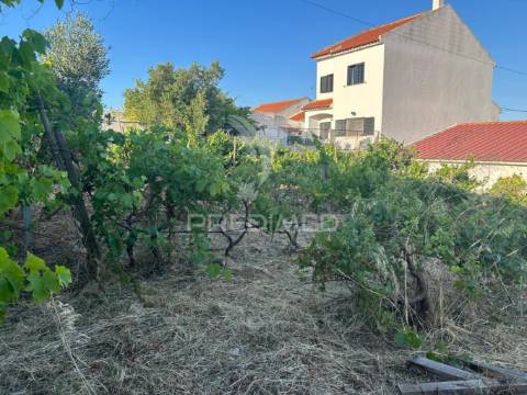 Terreno para moradia com 539m2 no carregado