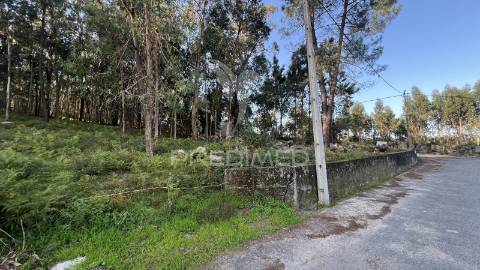 Terreno de gaveto para construção - turiz, vila verde (1305m2)
