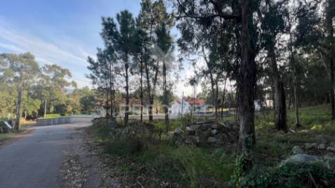 Terreno de gaveto para construção - turiz, vila verde (1305m2)