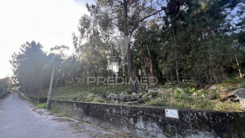 Terreno de gaveto para construção - turiz, vila verde (1305m2)