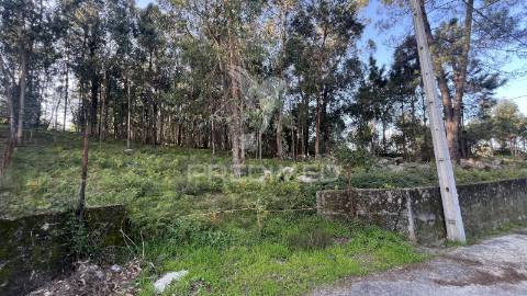Terreno de gaveto para construção - turiz, vila verde (1305m2)